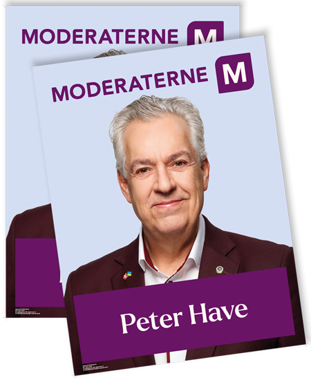 Peter Have Valgplakater